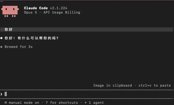 The Claude Code startup screen, showing the Claude Code version and, on the next line, "Opus 5 · API Usage Billing"