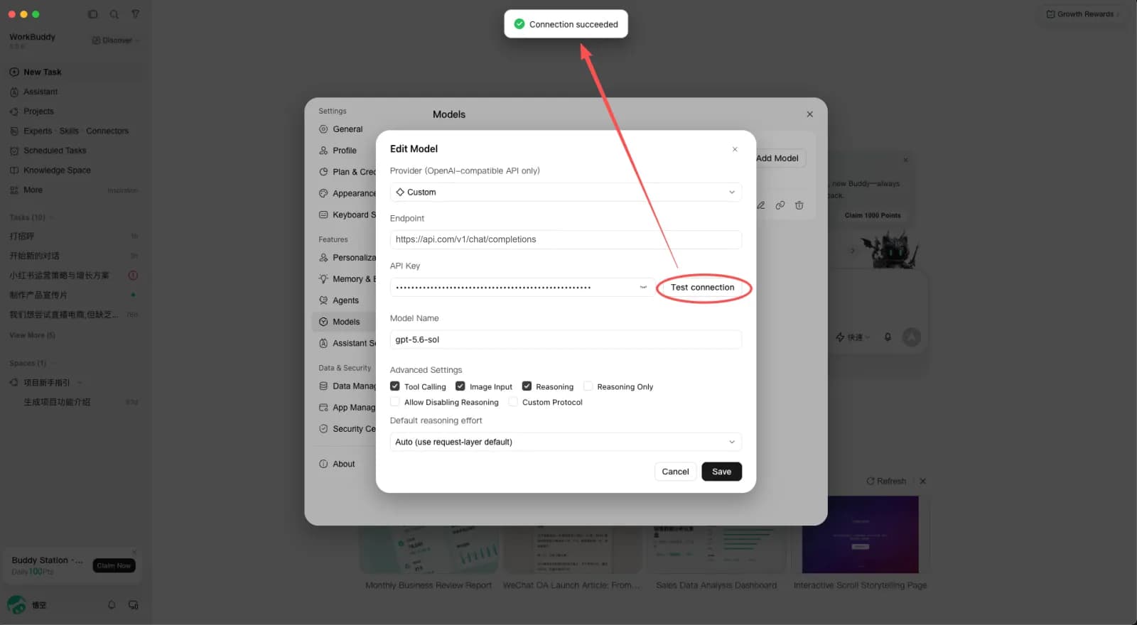 WorkBuddy's Edit Model dialog with a red circle around the Test connection button next to the API Key field, and an arrow pointing at the green "Connection succeeded" toast at the top of the window